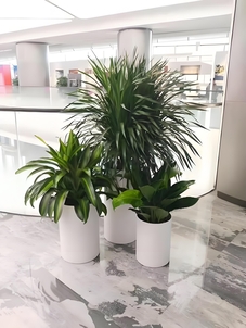 宁波前湾绿化修剪价格，你想知道的都在这！